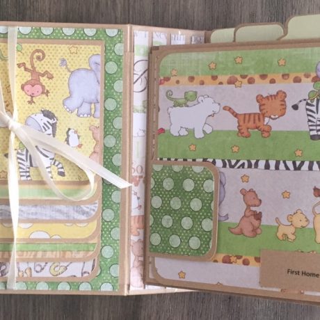 baby book 2 (2) baby book 2 (2)