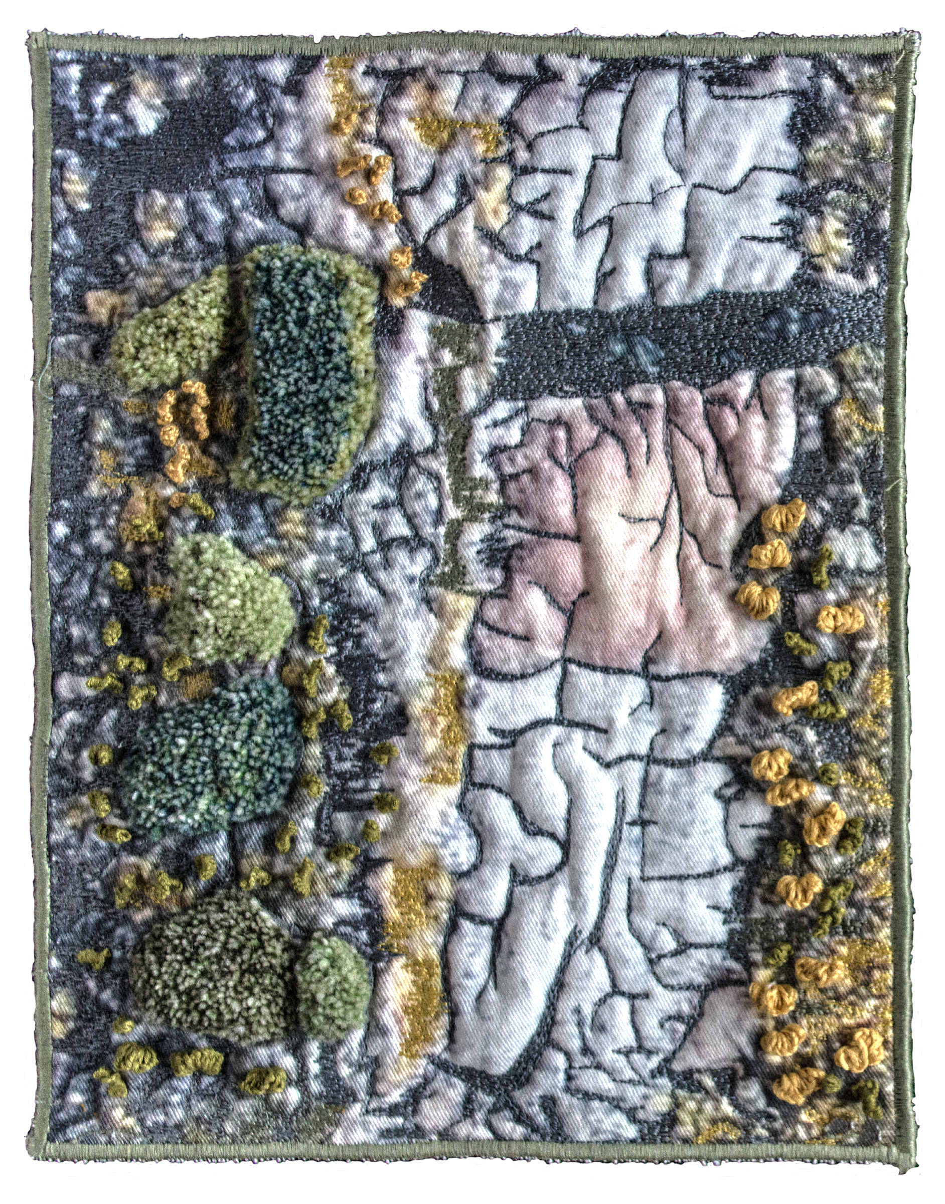 TR 213-2 Green Drizzle Lichens_sm